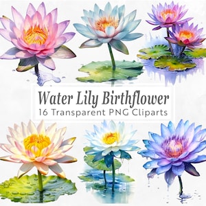 Water Lily Birth Flower Clipart - 20 PNG Bundle - July Birth Flower - Watercolor Floral Art for Crafts, Invitations, Scrapbooking
