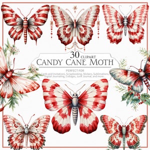 30 Candy Cane Moth Clipart, Weihnachten Candy Farbe, Weihnachtsclipart, Fantasy Moth Clipart, Motte Png, Scrapbooking, Einladung, Junk Journal