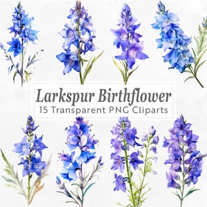 Clipart fleur de naissance pied d'alouette - 29 PNG - fleur de naissance juillet - art floral aquarelle pour travaux manuels, invitation, scrapbooking, carte de voeux