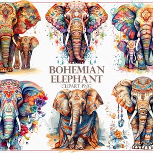 Boho olifant clipart, 28 kleurrijke olifant png's, bloemen olifant kunst voor DIY ambachten, digitale boho olifant afdrukbare voor scrapbooking