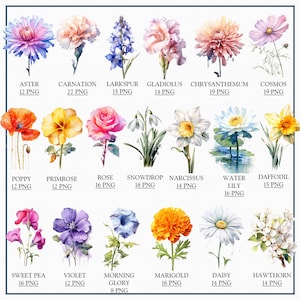 Clipart fleurs pour le mois de naissance, illustrations florales pour lot Png de fleurs de naissance, fournitures d'art numérique, Images de fleurs pour 12 mois de naissance, fleurs de naissance