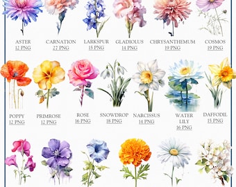 Imágenes prediseñadas de flores del mes de nacimiento, ilustraciones florales (PNG)