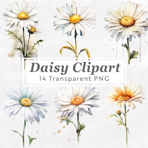 Daisy Birthflower Clipart - Pacote de 14 PNG - Flor de nascimento de abril - Arte floral em aquarela para artesanato, convites, scrapbooking, arte botânica