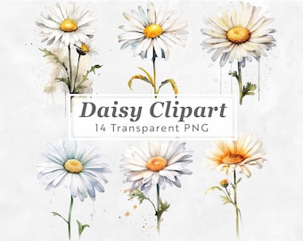Daisy Watercolor Clipart – April Birth Flower PNG Bundle