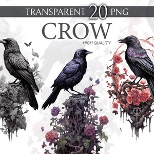Digitale afdrukbare Crow - transparante PNG met hoge resolutie - digitaal afdrukbaar ontwerp, Crow Clipart, Instant Download, PNG downloaden, Crow PNG