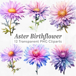 Aster Birthflower Clipart - 12 PNG Bundle - September Birth Flower - Watercolor Floral Art for Crafts, Invitations, Scrapbooking