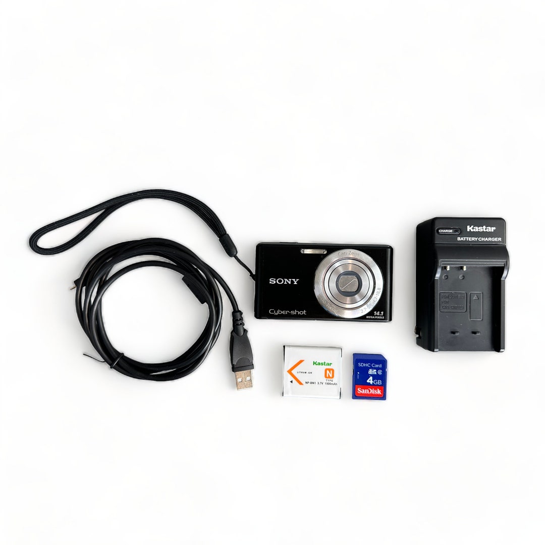 Sony Cybershot DSCW530 Y2K Digital Camera New Battery & Wall Charger