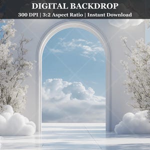 May include: A white archway with a cloudy sky visible through it. White fluffy clouds are on either side of the archway, and white flowering branches are on either side of the archway.