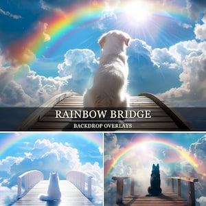 May include: A digital backdrop overlay featuring a white dog sitting on a wooden bridge over a cloudy sky with a rainbow. The text "Rainbow Bridge Backdrop Overlays" is below the bridge.