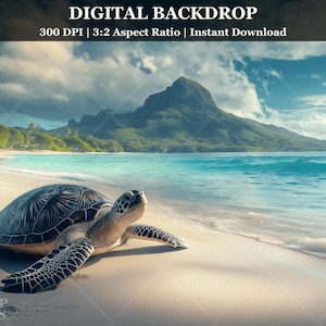 May include: A green sea turtle rests on a white sandy beach with turquoise water and a lush green mountain in the background.