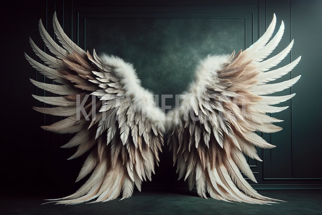 Studio Digital Backdrop Feather Angel Wings Photography Background ...