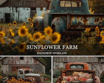 May include: A rustic teal pickup truck with visible rust sits in a field of sunflowers. The image includes the text "SUNFLOWER FARM" and "BACKDROP OVERLAYS". A barn is visible in the background, creating a rural, vintage aesthetic.