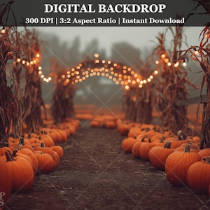 Op de afbeelding: Een digitale achtergrond met een pompoenveld met rijen oranje pompoenen die leiden naar een verlichte boog. De scène speelt zich af in een veld met maïsstengels en lichtslingers, wat een warme, herfstachtige sfeer creëert.