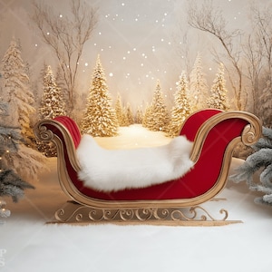 Winter Sleigh Christmas Digital Backdrop Holiday Portrait Photography Background Studio Photo Prop