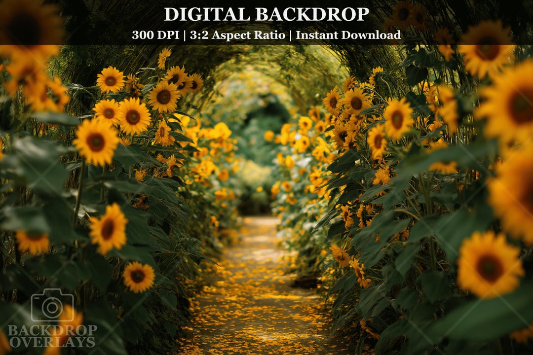 Sunflower Tunnel Digital Backdrop Garden Path Floral Arch Summer Photo ...