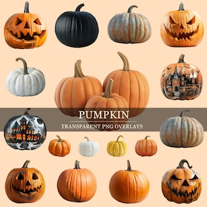 May include: A collection of various pumpkins, including carved jack-o'-lanterns, and pumpkins in shades of orange, white, and blue. The image includes the text "PUMPKIN TRANSPARENT PNG OVERLAYS". These pumpkins are perfect for Halloween-themed designs.