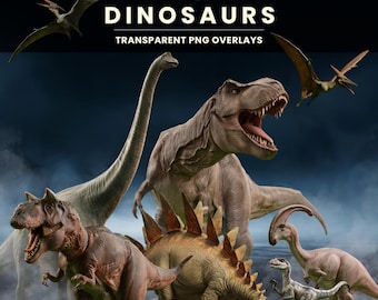 May include: A digital collection of 27 dinosaurs featuring various species including a Tyrannosaurus Rex, a long-necked sauropod, a Stegosaurus, and Pterosaurs. The text 27 DINOSAURS TRANSPARENT PNG OVERLAYS is displayed at the top of the image.