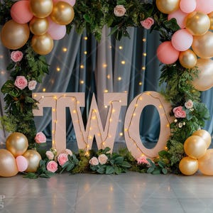 Second Birthday Digital Backdrop Cake Smash Studio Photo Prop Two 2nd Bday Photography Background