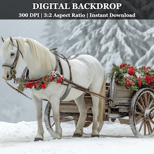 White Horse Christmas Digital Backdrop Winter Wagon Photography Background Holiday Portrait