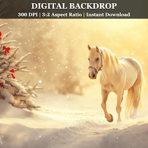 Christmas Horse Digital Backdrop Winter Wonderland Photography Background