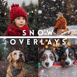May include: A collage of four winter scenes with falling snow. The top left shows a child in a red hat and scarf. The top right shows a child sledding. The bottom left shows a dog, and the bottom right shows two puppies. The text "SNOW OVERLAYS" is in the centre.