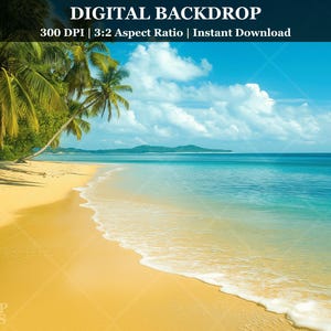 Summer Beach Digital Backdrop Tropical Summer Vacation Photography Background