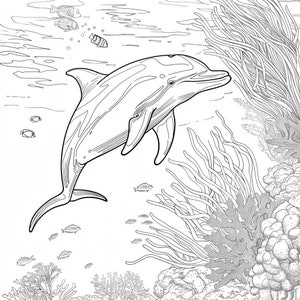Páginas para colorear de delfines - Descarga digital, Arte detallado de la vida marina, PDF imprimible, Tamaño carta y A4 de EE. UU., Hojas para colorear bajo el agua