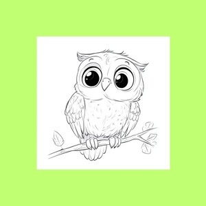 May include: A black and white line drawing of a cartoon owl with large eyes perched on a branch.