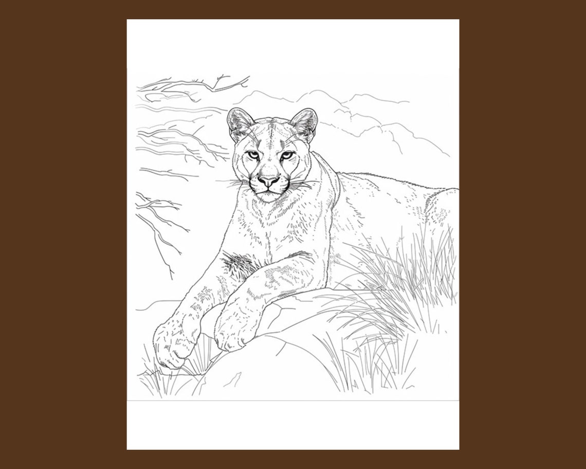 Mountain Lion Coloring Pages - Digital Download, Detailed Wildlife Art ...