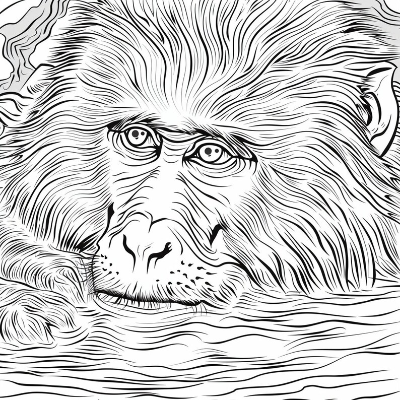 Macaque Coloring Pages - Digital Download, Detailed Wildlife Art ...