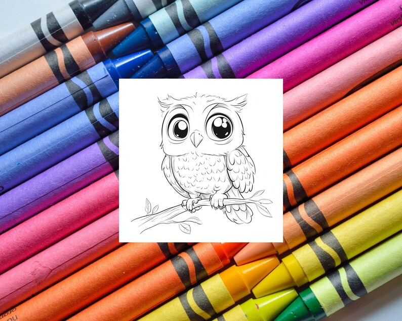 Adorable Owl Coloring Page for Preschoolers (PDF) image 8