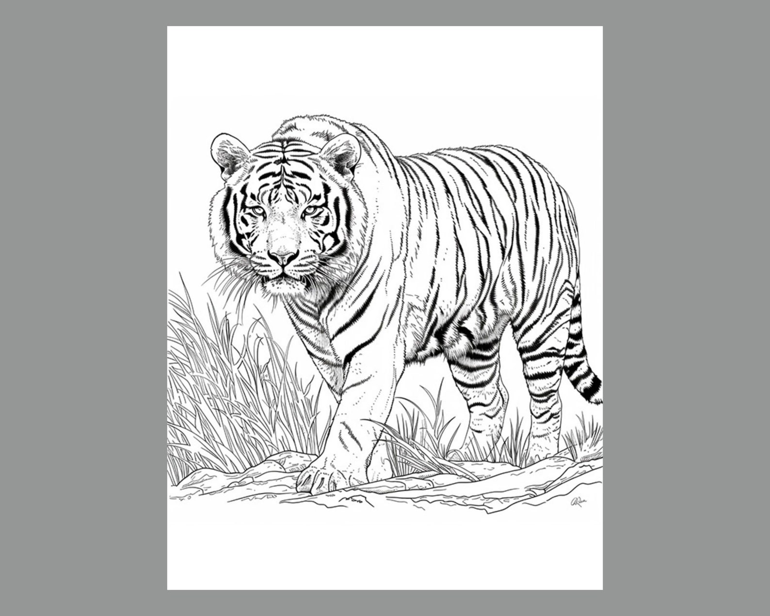 Siberian Tiger Coloring Pages Digital Download, Detailed Wildlife Art