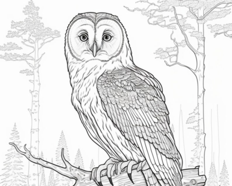 Owl Coloring Pages - Charming Black &amp; White Outlined Printable PDF in ...