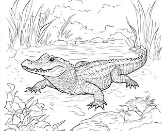 TPLHOUSE Chubby Alligator Coloring Book — 30 Pages, Spiral Bound, Stress Relief For Kids & Adults
