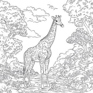 Giraffe Coloring Pages for Kids & Adults | Printable Safari Animal Coloring Sheets | Digital Download in US Letter and A4 PDF