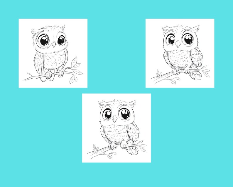 May include: Three black and white line drawings of owls perched on branches. Each owl has large, round eyes and a cute, cartoonish expression.
