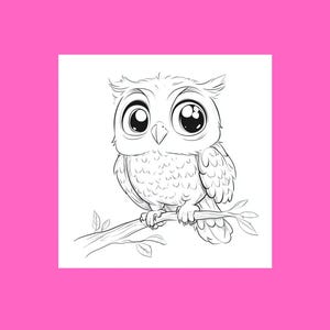 May include: A black and white line drawing of a cartoon owl with large eyes perched on a branch.