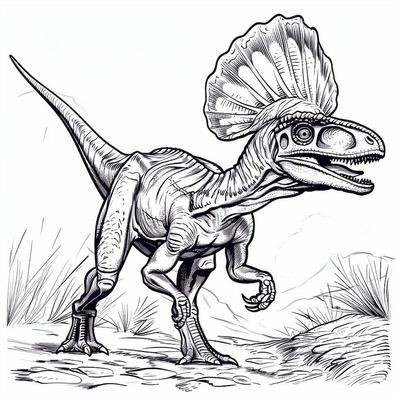 Dilophosaurus Coloring Pages Printable Dinosaur Art, Digital Download