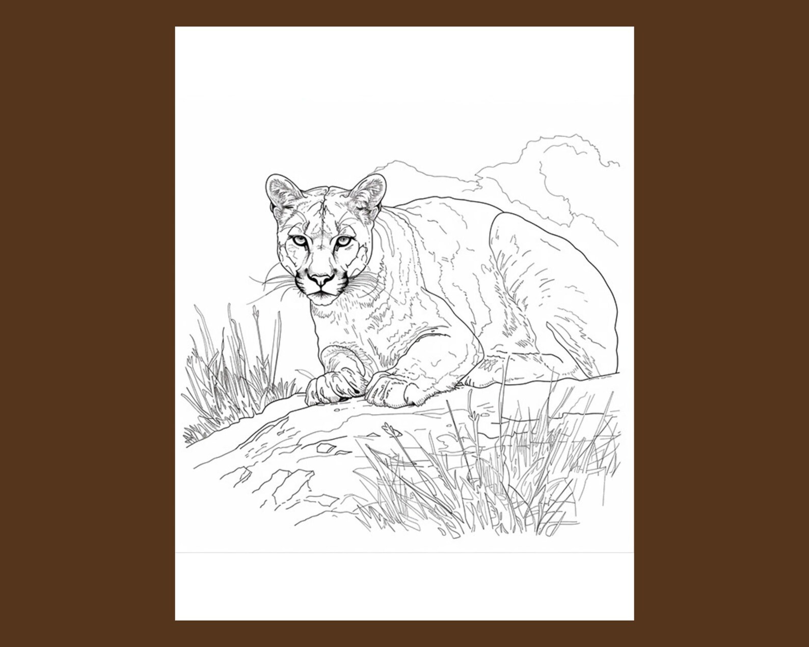 Mountain Lion Coloring Pages Digital Download, Detailed Wildlife Art