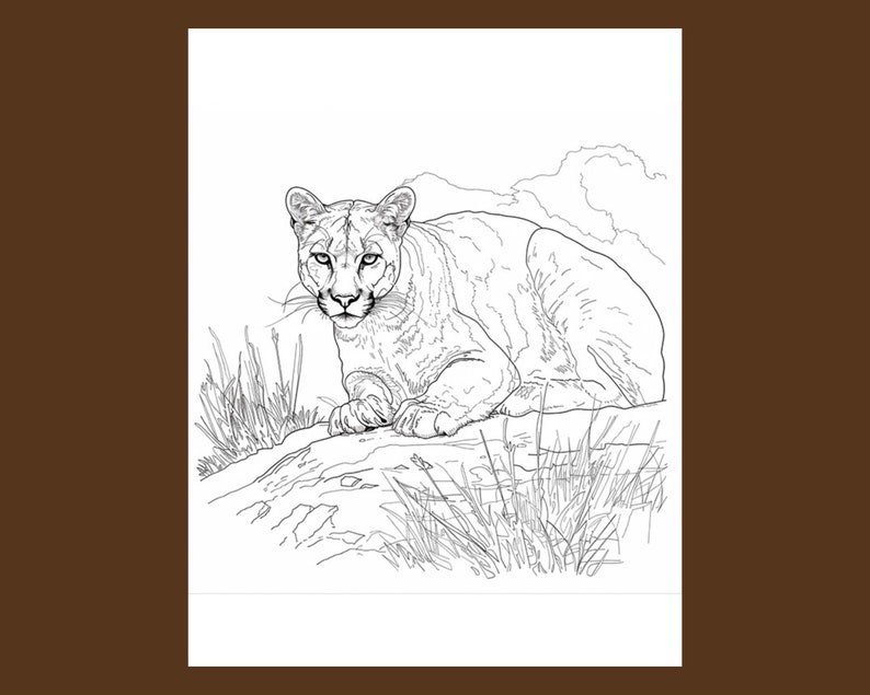 Mountain Lion Coloring Pages - Digital Download, Detailed Wildlife Art ...