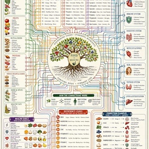 May include: An educational infographic titled The Food & Nutrient Web, featuring a central tree illustration surrounded by interconnected lines linking food groups, essential nutrients, and body systems with text labels and icons on a cream background.