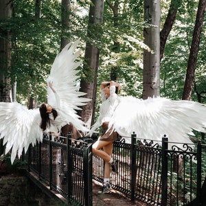 Lessons/tutorial how to make two different model wings