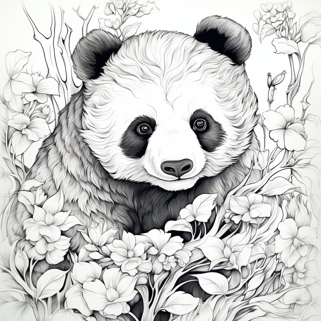 10 Panda Coloring Pages,cute Animal Colorings - Etsy