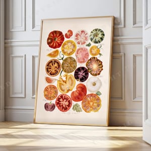 Könnte beinhalten: Ein gerahmter botanischer Kunstdruck mit einer Sammlung verschiedener Erbstück-Tomaten in Rot-, Gelb-, Orange-, Lila- und Grüntönen. Die Illustration zeigt ganze und aufgeschnittene Tomaten mit detaillierten Texturen und kleinen Beschriftungen.