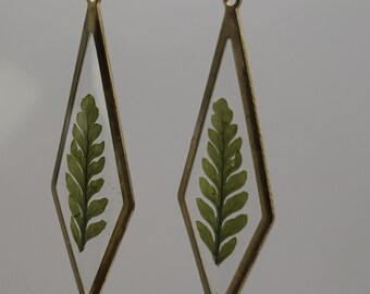 Fern Dangle Earrings - Real Fern Preserved in Resin Within a Brass Frame - Handmade Botanical Jewelry - Gifts for Her