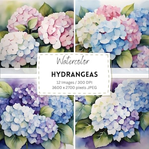 12 Aquarell Hortensien Blumen Digital Download / Digital Papier / bedruckbar / Sofort Download / digitale Kunstwerke