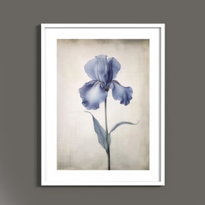 May include: A framed print of a single blue iris flower with a vintage background.