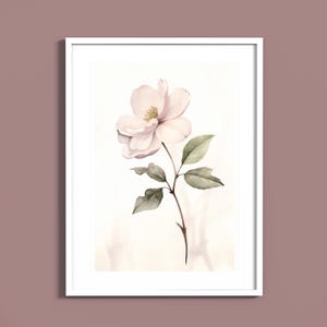 Estampados botánicos vintage suaves de flores y plantas / Ilustraciones botánicas minimalistas en acuarela / Estilo herbario antiguo / Descarga digital