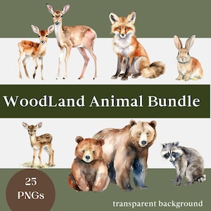 25 cliparts animaux de la forêt, PNG, aquarelle forêt animaux clipart, art mural chambre d'enfant, renard, lapin, ours, hibou, Clipart Animal, usage Commercial