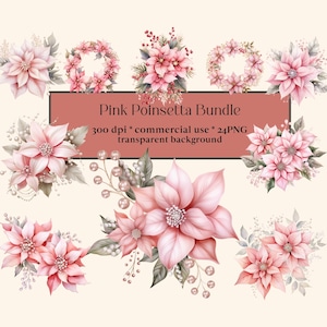 Colección PNG de 24 Poinsettias rosas, conjunto de imágenes prediseñadas, diseños de sublimación de acuarela, Navidad acogedora, Navidad en color pastel, imágenes prediseñadas navideñas